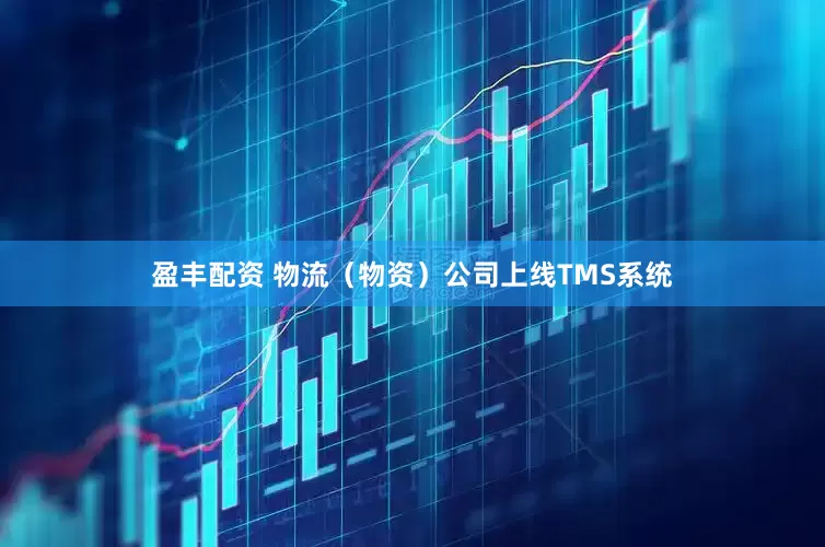 盈丰配资 物流（物资）公司上线TMS系统