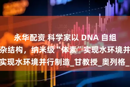 永华配资 科学家以 DNA 自组装技术构建出复杂结构，纳米级“体素”实现水环境并行制造_甘教授_奥列格_团队