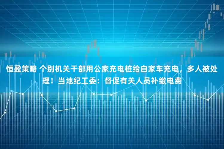 恒盈策略 个别机关干部用公家充电桩给自家车充电，多人被处理！当地纪工委：督促有关人员补缴电费
